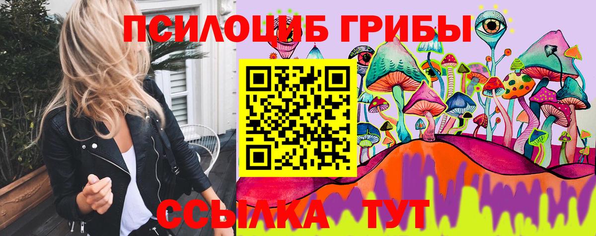 Псилоцибиновые грибы Psilocybine cubensis Орёл