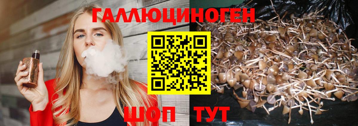 Орёл  Псилоцибиновые грибы Cubensis  Вход с VPN 